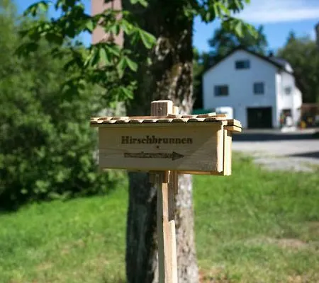 Gasthaus Hirsch 招待所 2*