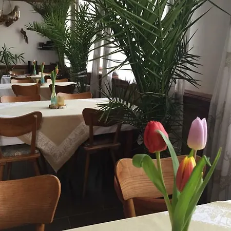 Gasthaus Hirsch 2*